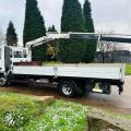 IVECO 75E15 DROPSIDE CRANE